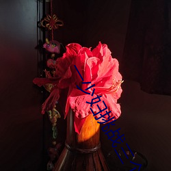 一(一)少(少)妇(婦)挑战三(三)个(個)黑人(人)内谢