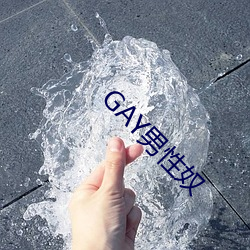 GAY男性奴