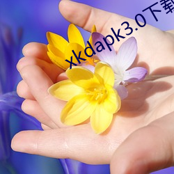 xkdapk3.0下载地(dì)址
