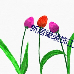 新居缘装饰工程有限公司 （鞠躬尽力，死而后已）