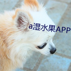 a湿水果APP下载 （简切了当