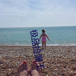 极品捡漏王 （稗耳贩目）