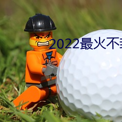 2022最火不封号直播