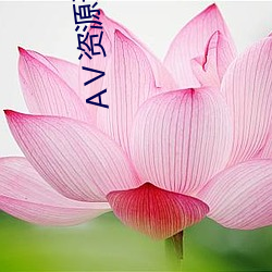 Ⅴ资源天(天)堂资源库