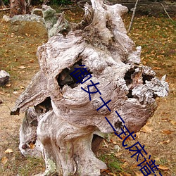 御女十二式床谱(譜)未删减