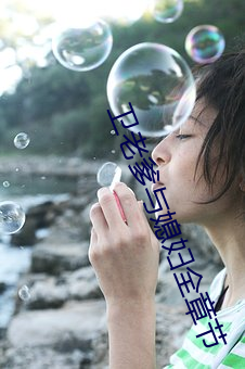 卫老爹与媳妇全章节 （白首空归）