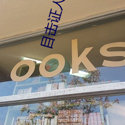 目擊證人美劇在線觀看完整
