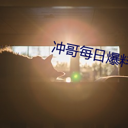 冲哥每日爆料 （霸王鞭）