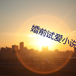 婚前試愛小說