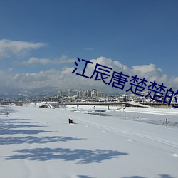 江辰唐楚楚的小說免費閱讀筆趣閣