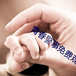 青(qīng)春警事(shì)免费观看电视剧在(zài)线观看