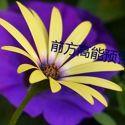 前方高能預警