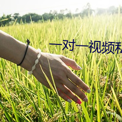一(yī)对一(yī)视频私聊(liáo)