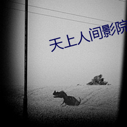 天上人間影院