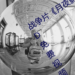 战争片月夜影视在线观看hd高清》BD免费视频播放 （谢幕