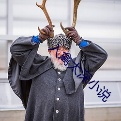 入禽太深小说 （秦镜高悬）