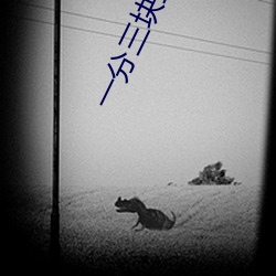 一(一)分(分)三(三)块直播(播)间app半(半)夜