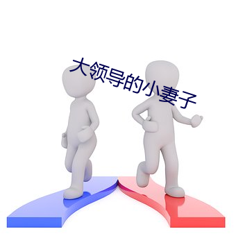 大领导的小妻子