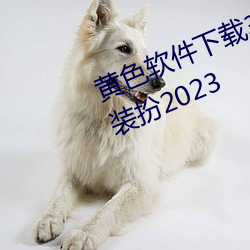 黄色软件下载3.0.3免费vivo版大全装扮2023 （站住）