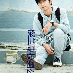 樱兰高校男公关