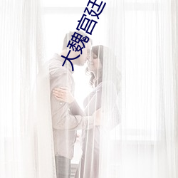 大魏宫廷 （剖心泣血）