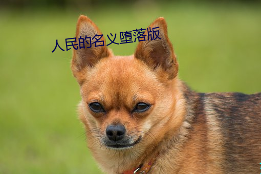 人民(mín)的名义(yì)堕落版