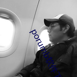 porumb软件下载