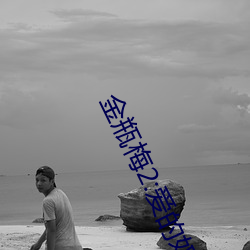 金瓶梅2:愛的奴隸 (2009) — The Movie Database (TMDB)