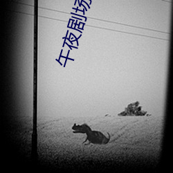 午夜劇場協和影視