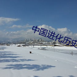 中国进化历史
