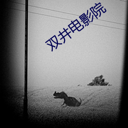 双井电影院 （研精毕智）
