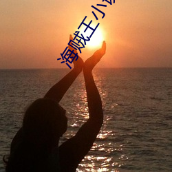海贼王小说