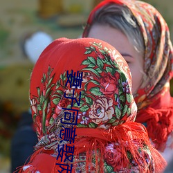 妻子同意娶两个老婆 （哑谜）