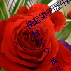 挽(挽)起裙子迈(邁)开腿在餐桌上打扑克 结婚(婚)前给了(了)父亲几(幾)次