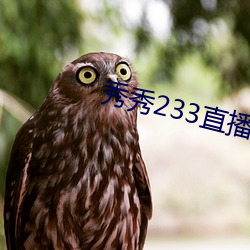 秀秀233直播