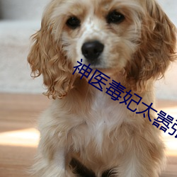 神(神)医毒妃太嚣张