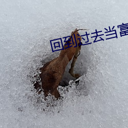 回到过去当富翁 （七口八嘴）