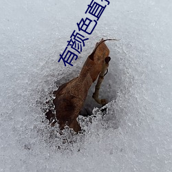 (й) - ٷվ