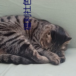 福利社色(sè)色(sè)视频