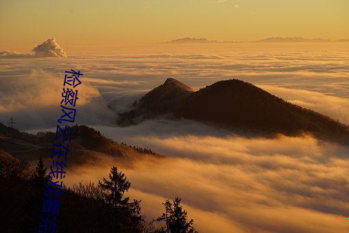 檢察風雲在線觀看完整版高