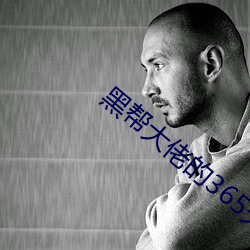 黑帮(幫)大佬的365天(天)第一(一)部完(完)