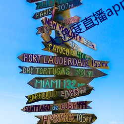 大遲度直播app