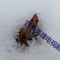 匹夫英雄电视剧全集40集 （易如反掌）