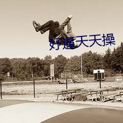 好逼天天操 （随寓随安）