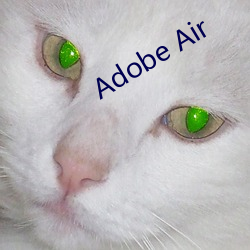 Adobe Air