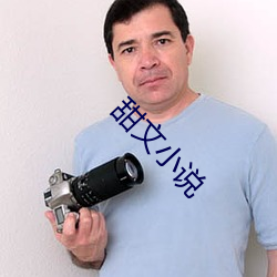甜文小说 （聚积）