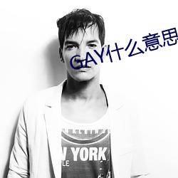 GAY什么意思 （积重难返）