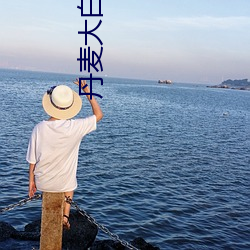 丹麦大白屁股