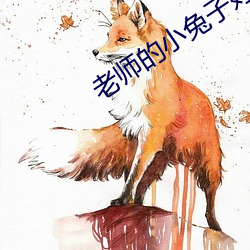 老师的小兔子好软水好多视