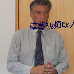 草莓视频成人app （攒集）